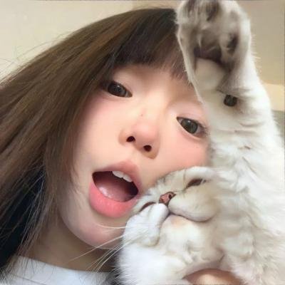 让叶兰在空中飞舞